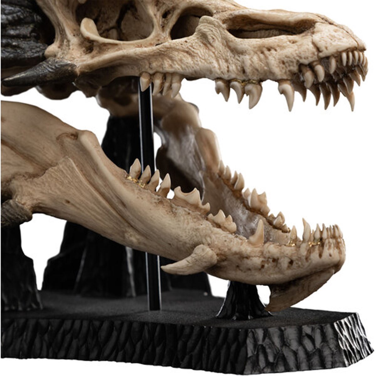 WETA WORKSHOP | THE HOBBIT SKULL OF SMAUG MINIATURE POLYSTONE STATUE